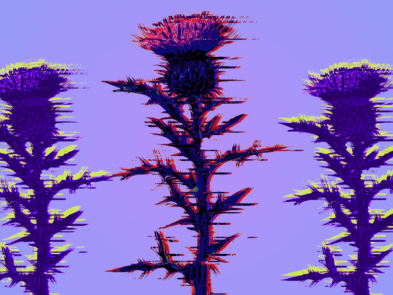 Slick Document Generation App for Salesforce [In-Depth&nbsp;Review]