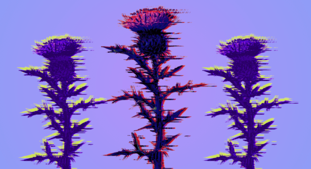 Slick Document Generation App for Salesforce [In-Depth&nbsp;Review]