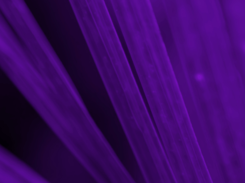 Complete Guide to Salesforce eSignature&nbsp;Solutions