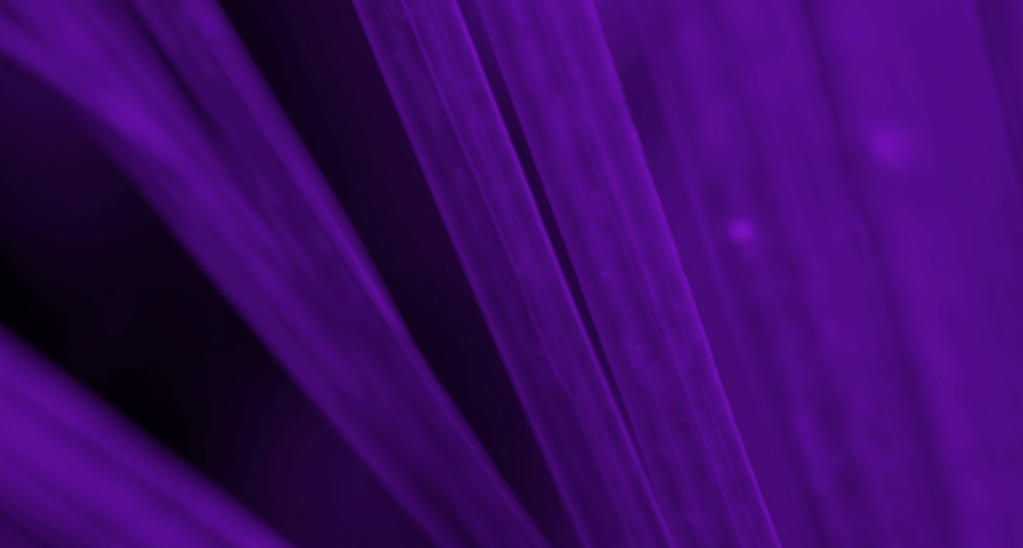 Complete Guide to Salesforce eSignature&nbsp;Solutions